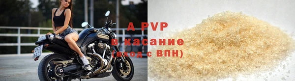 индика Переславль-Залесский