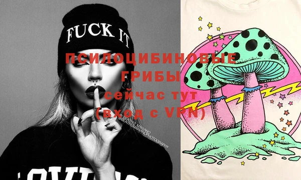 индика Переславль-Залесский