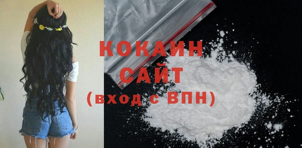 jwh Пересвет