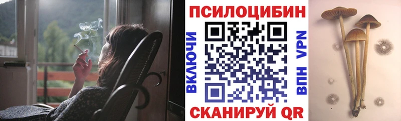 Псилоцибиновые грибы ЛСД где можно купить Вязники