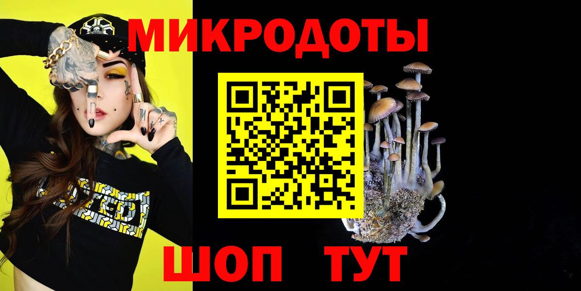Вязники  Галлюциногенные грибы прущие грибы  Вход с VPN 
