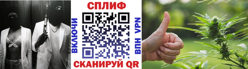 Конопля Bruce Banner  Вязники 